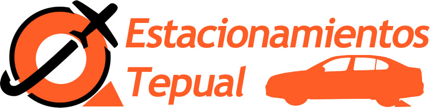estacionamientostepual.cl